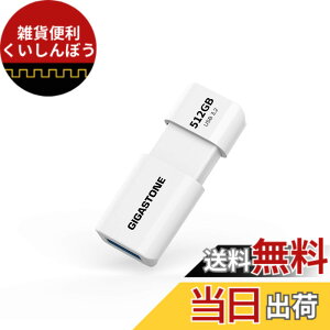�y���������zUSBdrive Z60 series section2 �F�F����A�T�C�Y�F512GB 1�Z�b�g