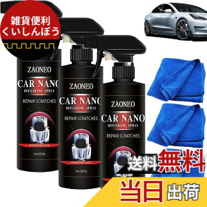 �y���������z�y500ML�z�ԗp�R�[�e�B���O�X�v���[ �h�C�c�n�C�e�N ���Ԃ��s�J�s�J�ɂȂ�ACarsonic�i�m���[�g���N�I�[�c�R�[�e�B���O�܁A�ԗp�R�[�e�B���O�X�v���[ �h�C�c�n�C�e�N�ACar Nano�R
