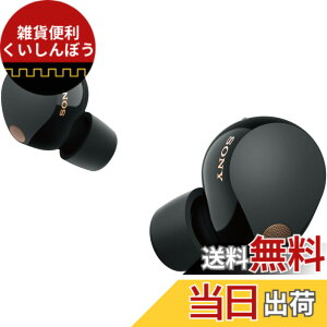 �y���������z�\�j�[SONY WF-1000XM5 �F�F�u���b�N�A�T�C�Y�F��