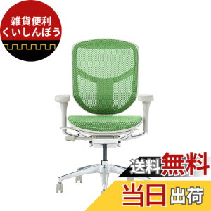 �y���������z�G���S�q���[�}��2(ergohuman2) �I�t�B�X�`�F�A ENJOY �G���W���C �F�F���b�V��:�O���[�� / �t���[��:�O���[�A�T�C�Y�F���[�^�C�v