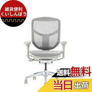 �y���������z�G���S�q���[�}��2(ergohuman2) �I�t�B�X�`�F�A ENJOY �G���W���C �F�F���b�V��:�z���C�g / �t���[��:�O���[�A�T�C�Y�F���[�^�C�v