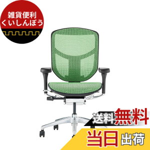 �y���������z�G���S�q���[�}��2(ergohuman2) �I�t�B�X�`�F�A ENJOY �G���W���C �F�F���b�V��:�O���[�� / �t���[��:�u���b�N�A�T�C�Y�F���[�^�C�v