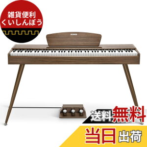 �y���������zDonner �d�q�s�A�m 88���� DDP-80 �F�F�E�H�[���i�b�g�A�T�C�Y�FDDP-80