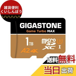 �y���������zGIGASTONE �}�C�N��sd�J�[�h Blackgold 2026 Group 1 �F�F1TB Game Turbo MAX 1-Pack