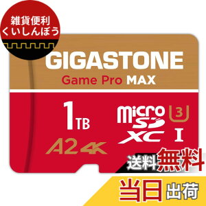 �y���������zGIGASTONE �}�C�N��sd�J�[�h Redgold-64-4-1-Group �F�F1TB Game Pro Max 1���Z�b�g�A�T�C�Y�F1TB Game Pro Max 1���Z�b�g