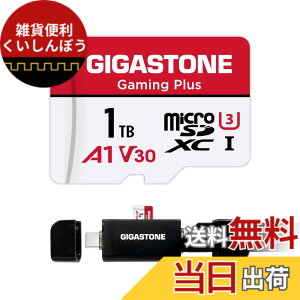 �y���������zGIGASTONE �}�C�N��sd�J�[�h 1TB-2-1 Core Group �F�F1TB Gaming Plus 1��+Type C�J�[�h���[�_�[�A�T�C�Y�F1TB