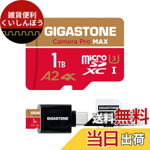 �y���������zGIGASTONE �}�C�N��sd�J�[�hGoldRed GP 1 �F�F1TB Camera Pro MAX 1��+Type C�J�[�h���[�_�[�A�T�C�Y�F1TB Camera Pro MAX 1��+Type C�J�[�h���[�_�[