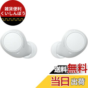 �y���������z�\�j�[(SONY) ���S���C�����X�C���z�� WF-C500/WF-C510 :/�����x�ʘb�i��/IPX4�h�H���\ �F�F�z���C�g�A�T�C�Y�F���^�y��