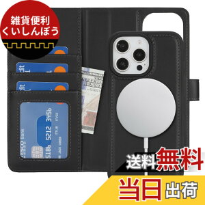 �y���������zMagsafe 2in1 Wallet for iPhone 16 �F�F�u���b�N�A�T�C�Y�FiPhone 16 Pro Max