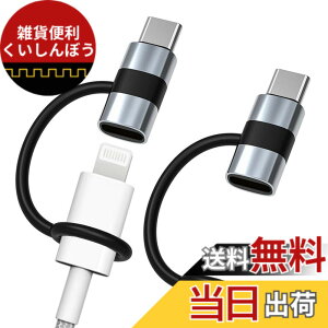 �y���������zGLOWZEN ���C�g�j���O �^�C�vc �ϊ� typec lightning �ϊ� 2�Z�b�g 60W PD�}���[�d 480Mbps�����Ńf�[�^�]�� �C���z���Ή��s��