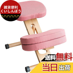 �y���������z�v���|�[�V�����`�F�A �W���͂����܂�֎q �p���T�|�[�g �⏕�N�b�V�����t �F�F�s���N�A�T�C�Y�FCH-N889CK