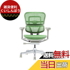 �y���������z�G���S�q���[�}��2(Ergohuman2) �I�t�B�X�`�F�A �F�F�t���[��:GRAY / ���b�V��:GREEN�A�T�C�Y�F���[�^�C�v