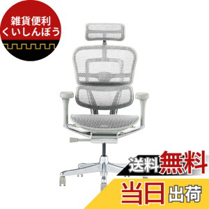 �y���������z�G���S�q���[�}��2(Ergohuman2) �I�t�B�X�`�F�A �F�F�t���[��:GRAY / ���b�V��:WHITE�A�T�C�Y�F�n�C�^�C�v