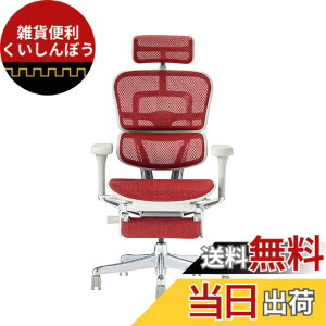 �y���������z�G���S�q���[�}��2(Ergohuman2) �I�t�B�X�`�F�A �F�F�t���[��:GRAY / ���b�V��:RED�A�T�C�Y�F�n�C�^�C�v�E�I�b�g�}������