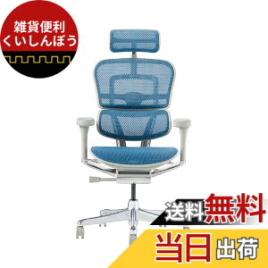 �y���������z�G���S�q���[�}��2(Ergohuman2) �I�t�B�X�`�F�A �F�F�t���[��:GRAY / ���b�V��:BLUE�A�T�C�Y�F�n�C�^�C�v