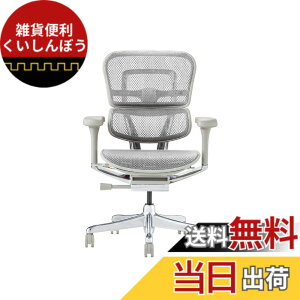 �y���������z�G���S�q���[�}��2(Ergohuman2) �I�t�B�X�`�F�A �F�F�t���[��:GRAY / ���b�V��:WHITE�A�T�C�Y�F���[�^�C�v