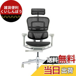 �y���������z�G���S�q���[�}��2(Ergohuman2) �I�t�B�X�`�F�A �F�F�t���[��:GRAY / ���b�V��:BLACK�A�T�C�Y�F�n�C�^�C�v