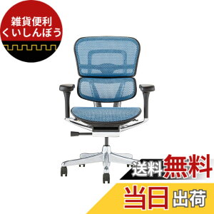 �y���������z�G���S�q���[�}��2(Ergohuman2) �I�t�B�X�`�F�A �F�F�t���[��:BLACK / ���b�V��:BLUE�A�T�C�Y�F���[�^�C�v