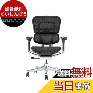 �y���������z�G���S�q���[�}��2(Ergohuman2) �I�t�B�X�`�F�A �F�F�t���[��:BLACK / ���b�V��:BLACK�A�T�C�Y�F���[�^�C�v
