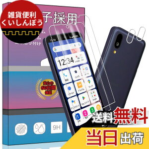 �y���������z�����K���X �t�� �K���X �����^ �ی�t�B���� ���{���Ɏq�f�� PCduoduo �F�F2+2 BASIO active2 SHG12�A�T�C�Y�F2+2 BASIO active2 SHG12