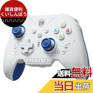 �y���������zBIGBIG WON ���C�����X�R���g���[���[ �F�F6.Rainbow2SE-Blue