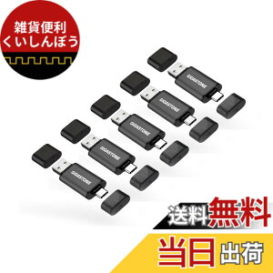 �y���������zUSBdrive Z40 & Z60 group5 �F�F256GB A+C 5�Z�b�g�A�T�C�Y�F256GB A+C 5�Z�b�g