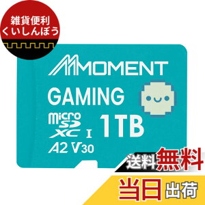 �y���������zMMOMENT A1V30 / A2V30 / Lite/PRO/EXPRESS MicroSDXC�J�[�h �T�C�Y�F1TB