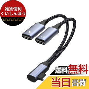 �y���������zAkkerds Type-C�C���z���W���b�N�ϊ��A�_�v�^�i2 in 1�j USB-C�P�[�u�� DAC�f�R�[�_�g�уp�\�R������ ���������[�dUSB-C�A�_�v�^ �[�d�ƒ��̂𓯎��ɍs��
