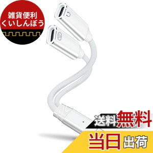 �y���������zleizhan 2-in-1 USB-C �w�b�h�z��/�[�d�A�_�v�^�[�AType-C 1����2�o�� �}���[�d + �I�[�f�B�I �f�[�^�]�� �F�F�z���C�g�A�T�C�Y�F100W 2USB-C