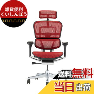 �y���������z�G���S�q���[�}��2(Ergohuman2) �I�t�B�X�`�F�A �F�F�t���[��:BLACK / ���b�V��:RED�A�T�C�Y�F�n�C�^�C�v