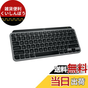 �y���������z���W�N�[�� KX700 ���C�����X�L�[�{�[�h �F�Ffor Mac �X�y�[�X�O���[(US�z��) (2�N)