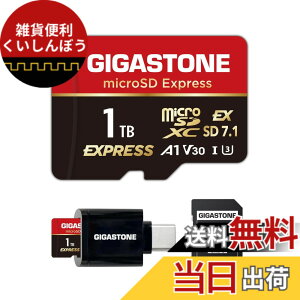 �y���������zGIGASTONE �}�C�N��sd�J�[�h 64-3-5 Core Group �F�FmicroSD Express 1TB + CR�B�A�T�C�Y�F1TB microSD Express 1���Z�b�g + Type-C�J�[�h���[�_�[