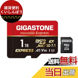 �y���������zGIGASTONE �}�C�N��sd�J�[�h 1TB-14-1 Core Group �T�C�Y�F1TB microSD Express 1���Z�b�g