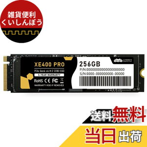 �y���������zLinkMore Gen4 PCIe 4.0 NVMe SSD �F�FPCIe4.0-XE400 PRO�A�T�C�Y�F256GB