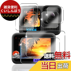 �y���������z�p �K���X�t�B���� + �J�����t�B���� �t�� �K���X �ϏՌ� �d�x9H �S�ʕی� �ȒP�\��t�� �F�F�N���A�A�T�C�Y�F�Ή� gopro hero 13 black