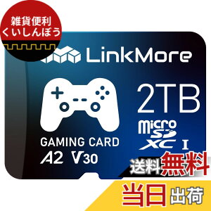 �y���������zLinkMore A1V30 / A2V30 / XV23 Pro MicroSDXC�J�[�h �T�C�Y�F2TB