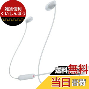 �y���������z�\�j�[ ���C�����X�C���z�� WI-C100 �F�F�z���C�g�A�T�C�Y�F��