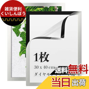 �y���������zLEADINTOP �_�C�������h�A�[�g �t�H�g�t���[�� 2�� �}�O�l�b�g�t�� 30 x 40 cm �_�C�������h�G��p �ǂ������Ȃ� ���ȔS���� �y�� �Ǌ|�� �f�B�X�v���C�t���[�� �ʐ^�t���[�� �\��