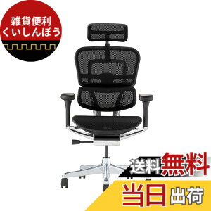 �y���������z�G���S�q���[�}��2(Ergohuman2) �I�t�B�X�`�F�A �F�F�t���[��:BLACK / ���b�V��:BLACK�A�T�C�Y�F�n�C�^�C�v