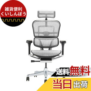 �y���������z�G���S�q���[�}��2(Ergohuman2) �I�t�B�X�`�F�A �F�F�t���[��:BLACK / ���b�V��:WHITE�A�T�C�Y�F�n�C�^�C�v