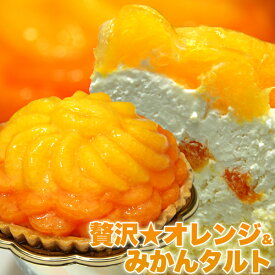 【送料無料】みかんたっぷり オレンジタルトケーキ 直径14cmホールケーキ！オレンジ＆みかんタルト