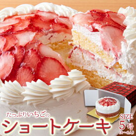【送料無料】たっぷり生クリームといちごのショートケーキ 5号サイズ