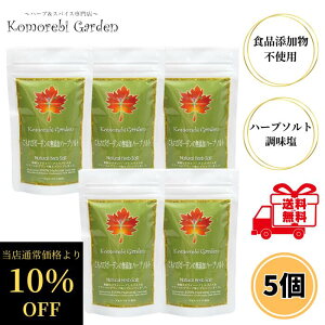 yyVX[p[SALE ʏ퉿i10OFFz уK[f n[u\g 70g 5Zbg XpCX   Y hCn[u Qh V ~l uh   Y