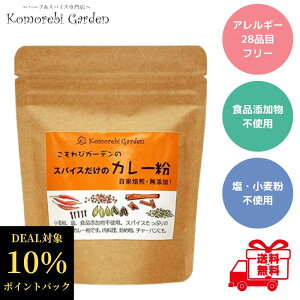 yő5OFFN[|{P10{z уK[f XpCX̃J[ 90g J[pE_[ Y AM[28iڃt[ sgp  ǂ c l t@~[  Xp