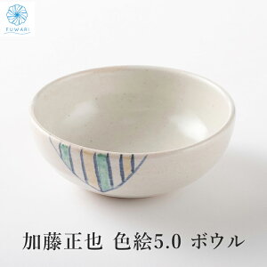 ボウル 色絵 ボウル 5.0 作家 加藤正也 サラダボウル 中鉢 白 アイボリー 瀬戸焼 日本製 国産 おしゃれ オシャレ インテリア プレゼント 贈り物 誕生日 お祝い /送料無料