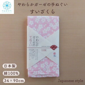 y K[[^I tFCX^I B   [ Ԃ Y z 킢 Mtg { BY 100  K[[ ^I  炩 pC { ʂ