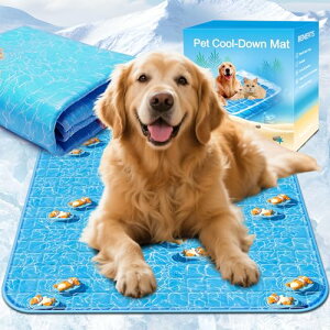 BEAUTYZOO pn[lX [hZbg ^ ^ Ή h~ ߉\ ʋCbV y ˍޕt ȒPE Ȃ K  U P V s⏕ ėp `Fb