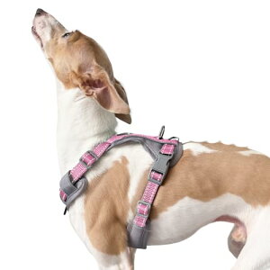 Angelpet ybgJ[g ̌^RpNg܂肽 Ζʗp LpoM[ Ή e  4 O360°] Oփu[Lt яoh~ gݗĊȒP y ω׏d30KG C