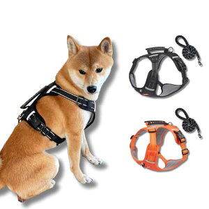 PonyLes ybgJ[g ^ oM[  y ^ L RpNg ܂ gݗĊȒP 4 O360°] փu[Lt p ܂݃^b`2WAYybgJ[g (u[)