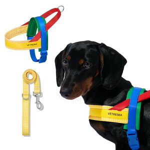 PonyLes ybgJ[g ^ oM[  y ^ L RpNg ܂ gݗĊȒP 4 O360°] փu[Lt p ܂݃^b`2WAYybgJ[g (zCg)